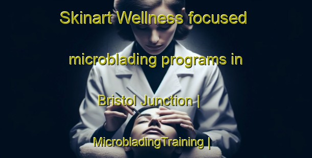 Skinart Wellness-focused microblading programs in Bristol Junction | MicrobladingTraining | MicrobladingClasses | SkinartTraining-Canada